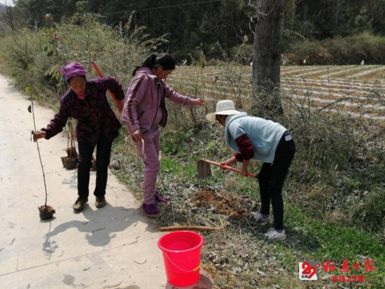 彝良县水利局最新动态报道